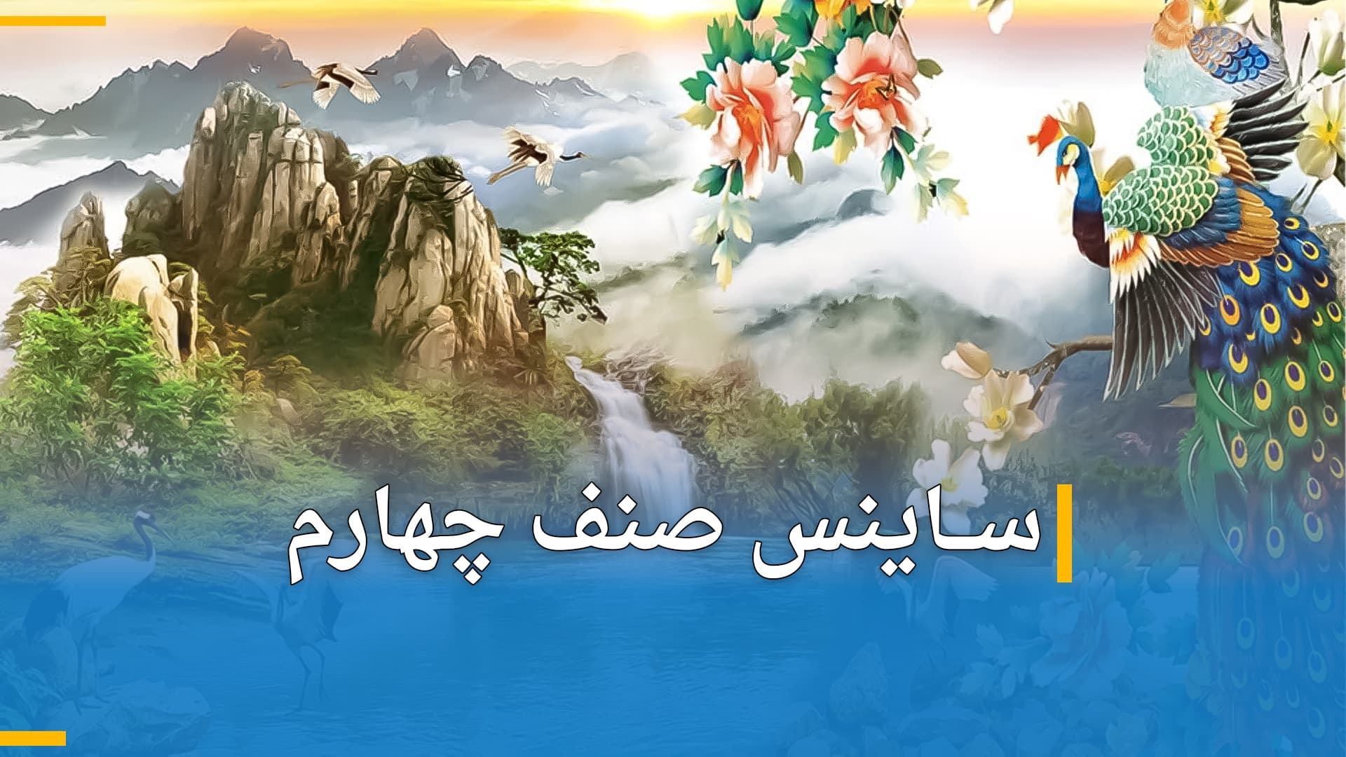 ساینس صنف چهارم (بخش سوم)