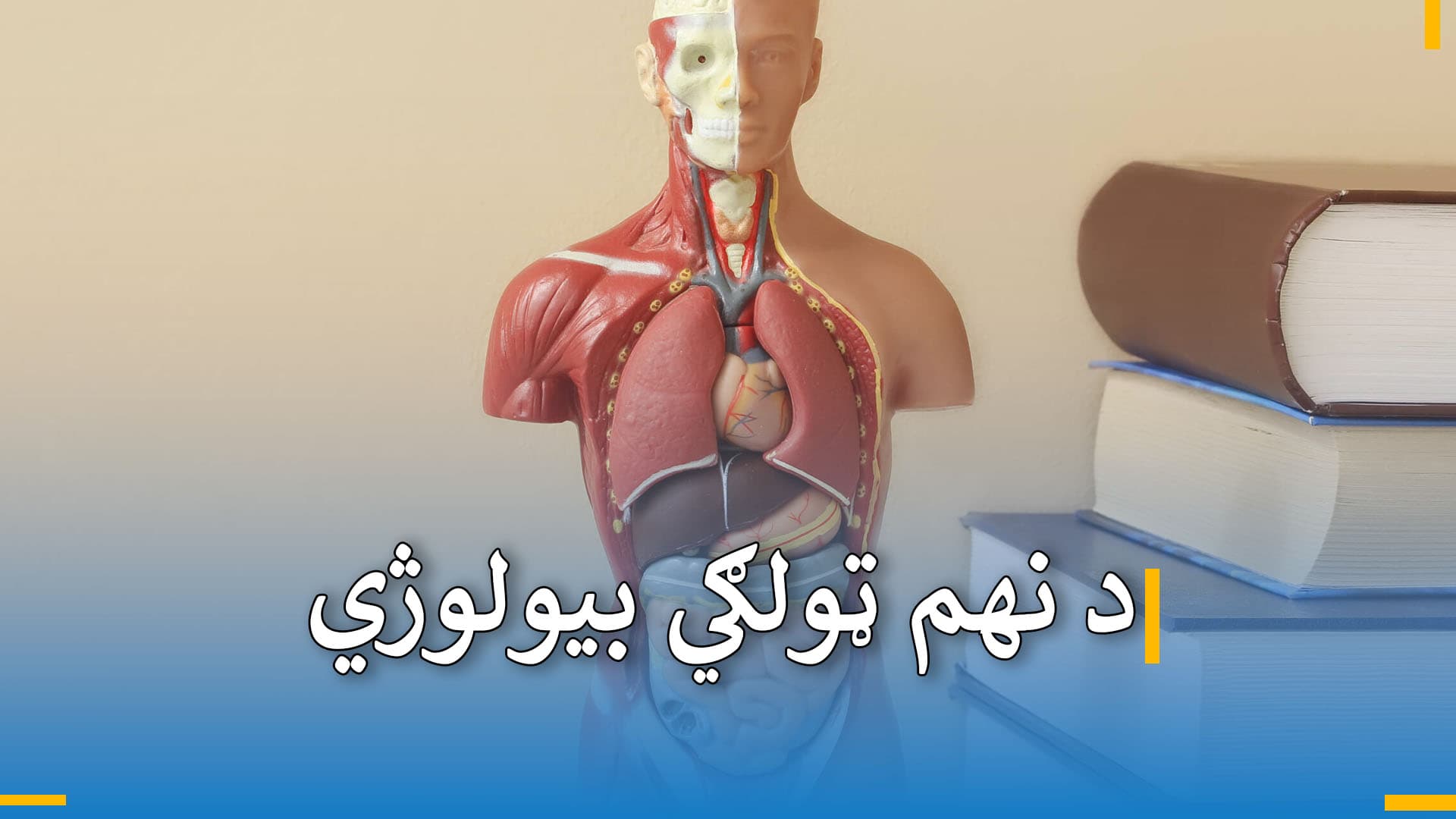 د نهم ټولګي د بیولوژي 