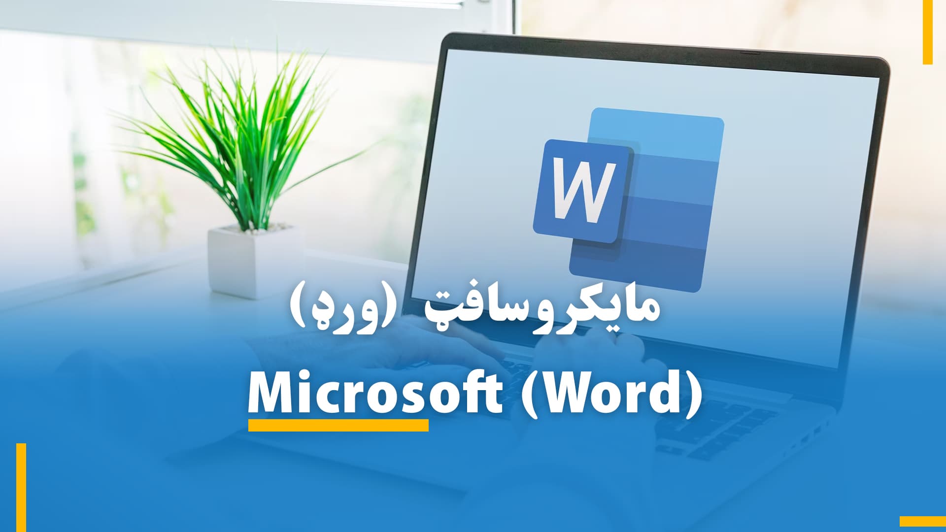  مایکروسافټ ورډ پروګرام